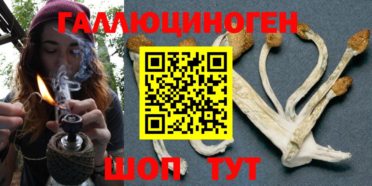 Галлюциногенные грибы GOLDEN TEACHER  Вход с VPN  Нижний Новгород 